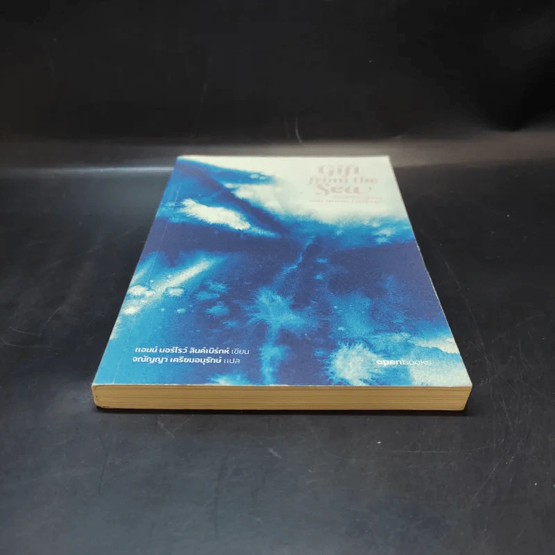 Girl from the Sea ของฝากจากทะเล รูปที่ 4