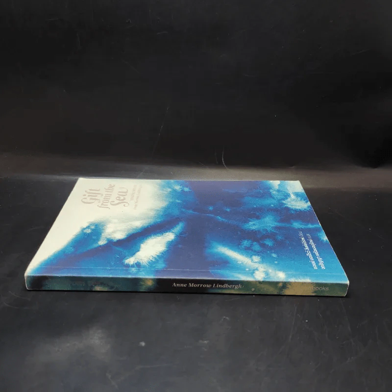 Girl from the Sea ของฝากจากทะเล รูปที่ 3