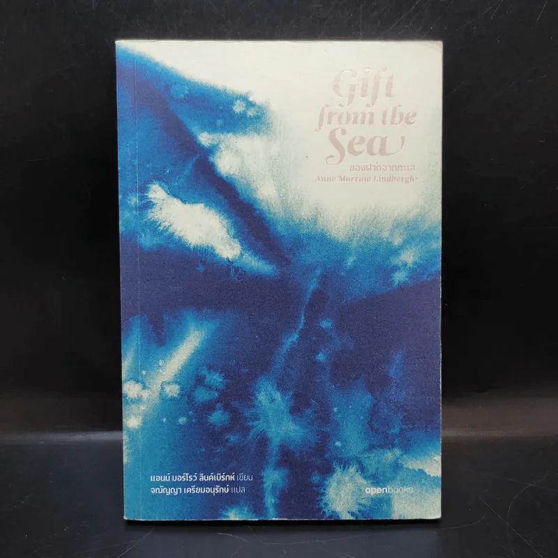 Girl from the Sea ของฝากจากทะเล รูปที่ 1