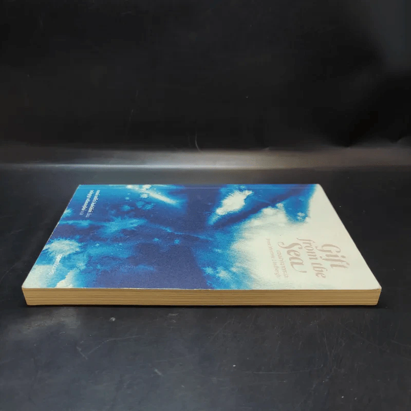 Girl from the Sea ของฝากจากทะเล รูปที่ 5