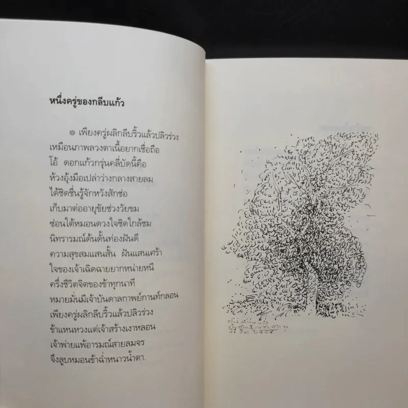 อาณานิคมของความเศร้า - วิสุทธิ์ ขาวเนียบ รูปที่ 11