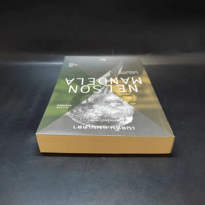 เนลสัน แมนเดลา ความรู้ฉบับพกพา รูปที่ 6