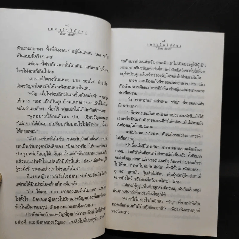 เพลงใบไม้ร่วง - วดีลดา เพียงศิริ รูปที่ 12