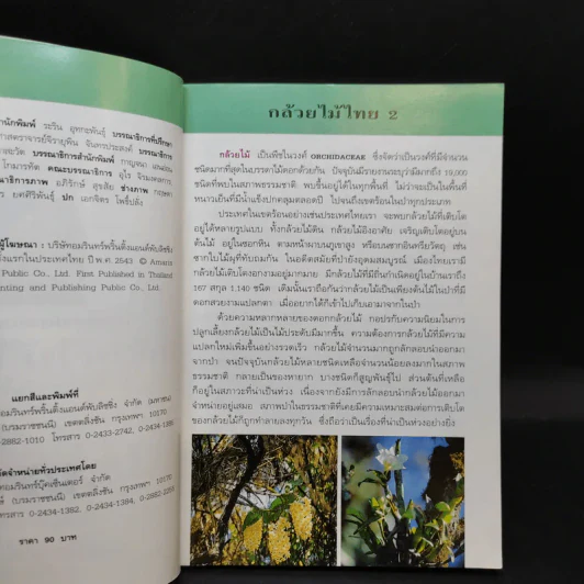 คู่มือคนรักต้นไม้ กล้วยไม้ไทย เล่ม 2 - วชิรพงศ์ หวลบุตตา รูปที่ 8