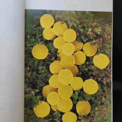อยู่อย่างสง่า Good Book - อ.สง่า ดามาพงษ์ รูปที่ 17