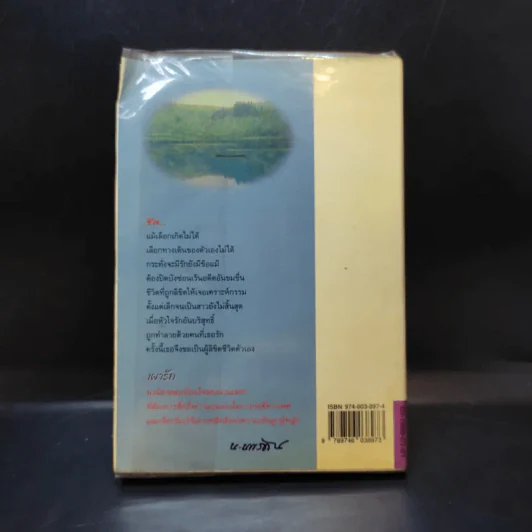 เผารัก - ฉวนเหยา เขียน, น.นพรัตน์ แปล รูปที่ 2