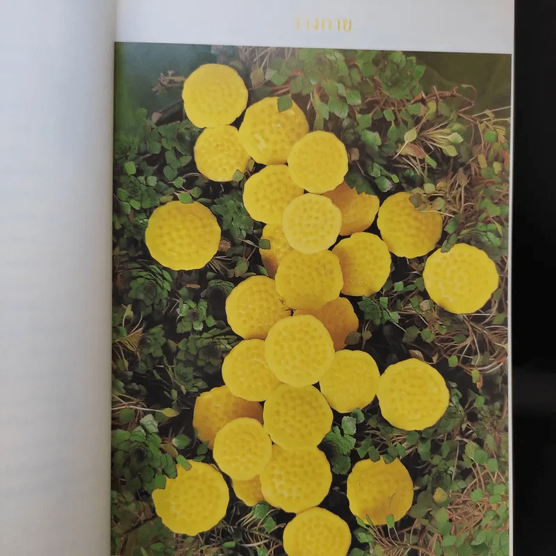 อยู่อย่างสง่า Good Book - อ.สง่า ดามาพงษ์ รูปที่ 17