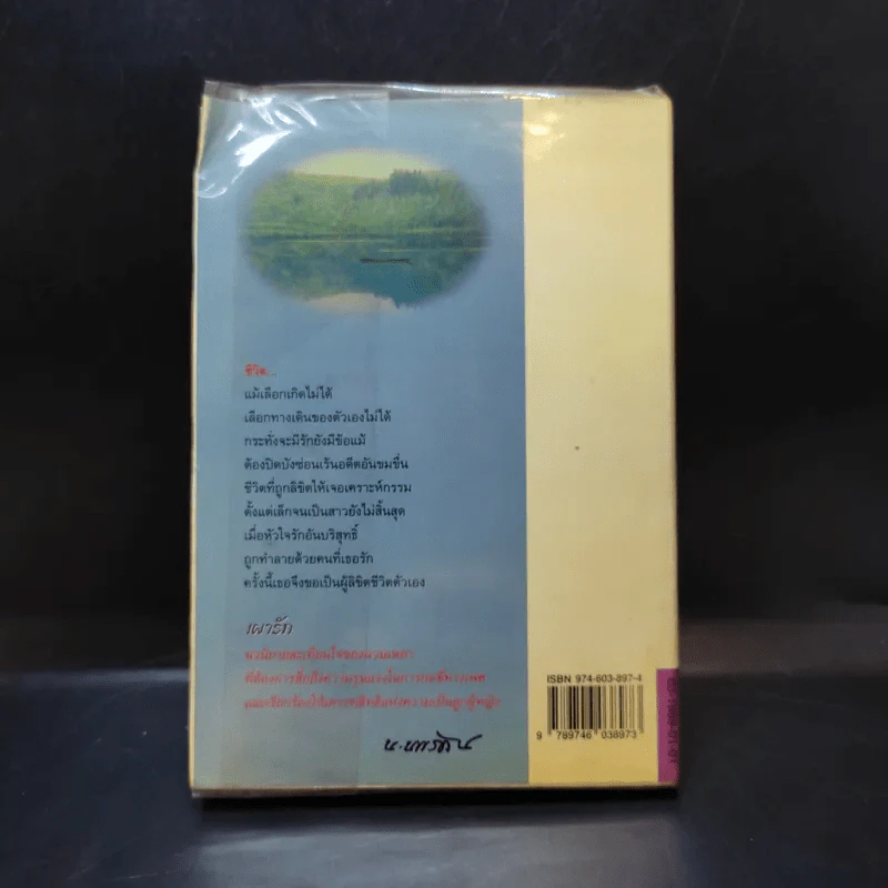 เผารัก - ฉวนเหยา เขียน, น.นพรัตน์ แปล รูปที่ 2