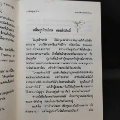 ทางสายตรง ฉบับพิเศษ - ท่านเหลาจื่อศาสดาแห่งลัทธิเต๋า รูปที่ 11