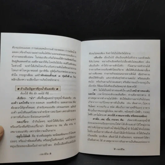 เวลาชีวิต - ล้อเกวียน รูปที่ 10