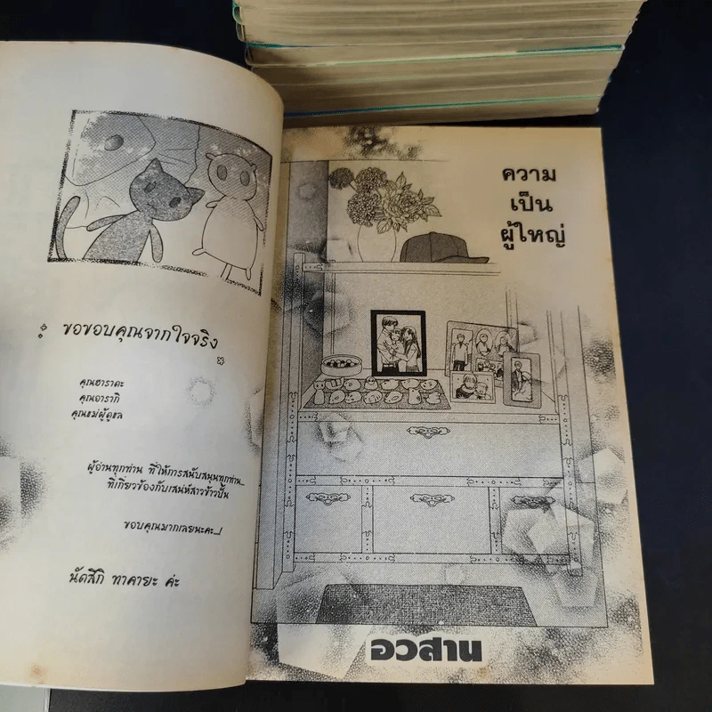 Fruits Basket เสน่ห์สาวข้าวปั้น 23 เล่มจบ รูปที่ 12