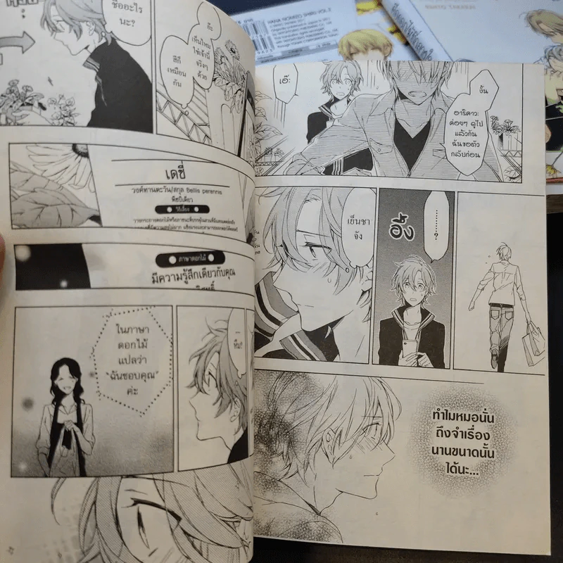 การ์ตูนวาย มีเพียงดอกไม้ที่รู้ 3 เล่มจบ + โปสการ์ด Boxset รูปที่ 9
