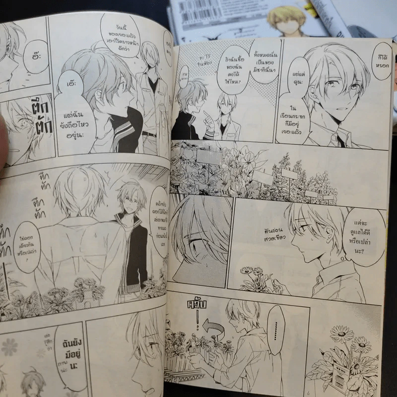 การ์ตูนวาย มีเพียงดอกไม้ที่รู้ 3 เล่มจบ + โปสการ์ด Boxset รูปที่ 10