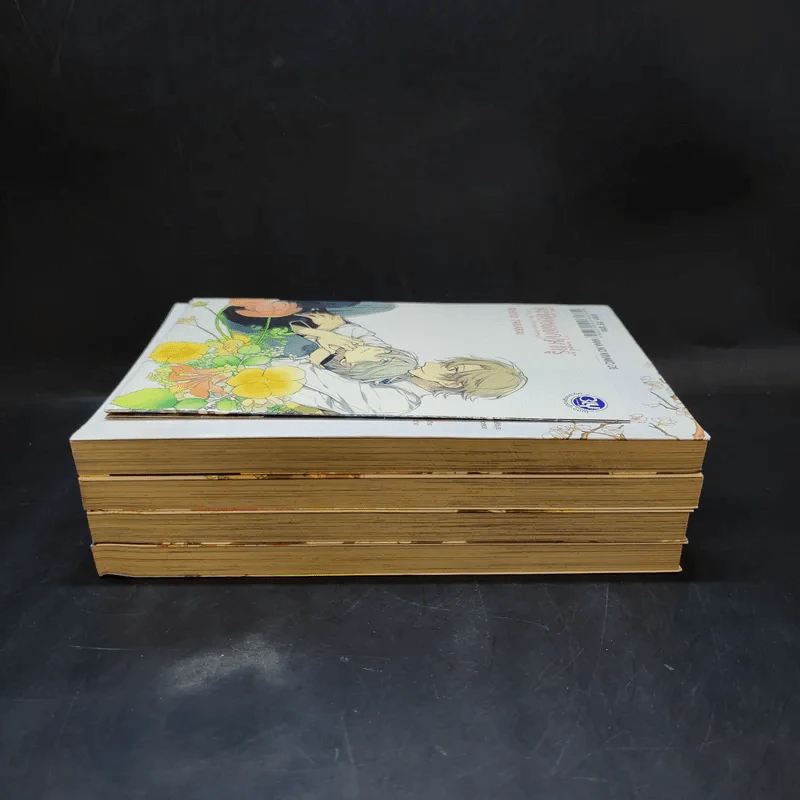 การ์ตูนวาย มีเพียงดอกไม้ที่รู้ 3 เล่มจบ + โปสการ์ด Boxset รูปที่ 5