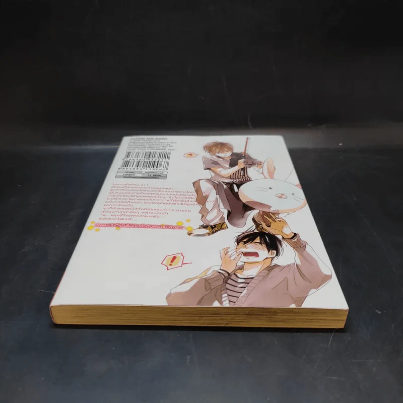 การ์ตูนวาย ดอกไม้กับนายกระต่าย - Chiaki Kashima รูปที่ 4
