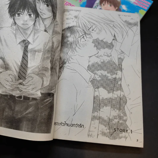 การ์ตูนวาย เพราะหัวใจบอกว่ารัก 2 เล่มจบ รูปที่ 9