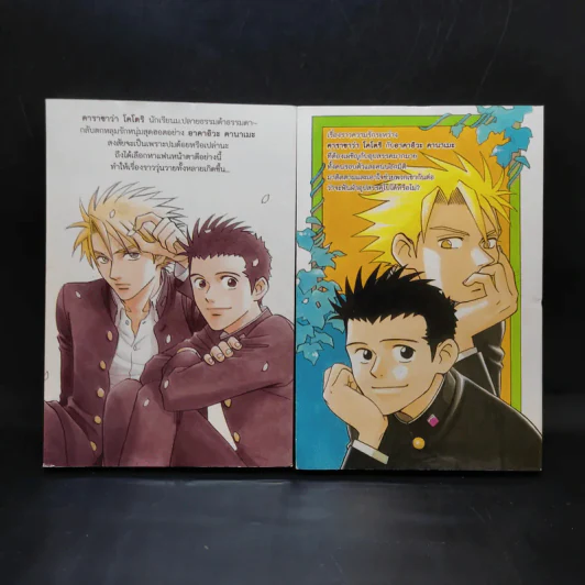 การ์ตูนวาย นายจอมจุ้นกับหนุ่มสุดฮอต 2 เล่มจบ รูปที่ 2