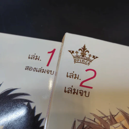 การ์ตูนวาย นายจอมจุ้นกับหนุ่มสุดฮอต 2 เล่มจบ รูปที่ 8