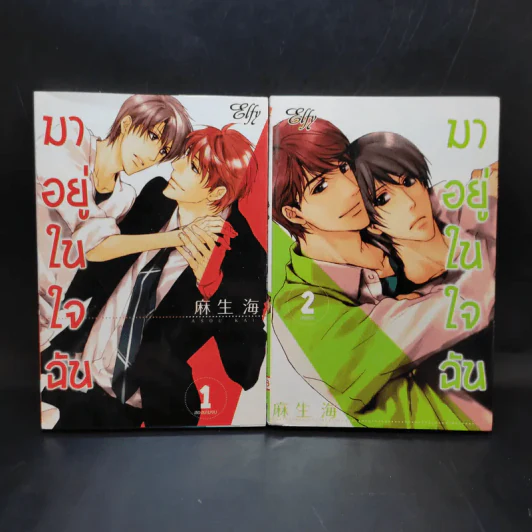 การ์ตูนวาย มาอยู่ในใจฉัน 2 เล่มจบ รูปที่ 1