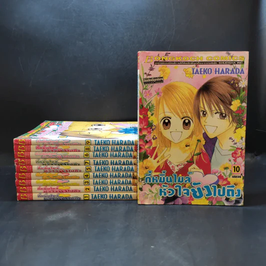 กี่หมื่นไมล์หัวใจยังไปถึง 10 เล่มจบ รูปที่ 1