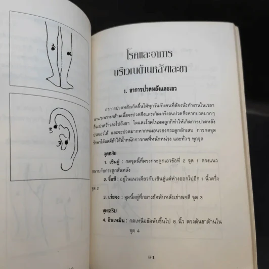กดจุดหยุดโรค - พิริยพงศ์ รุจิเสนีค์ รูปที่ 13