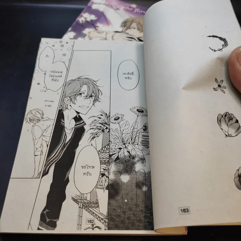 การ์ตูนวาย Only the Flower Knows 3 เล่มจบ รูปที่ 10