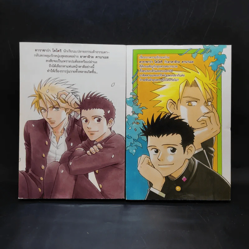 การ์ตูนวาย นายจอมจุ้นกับหนุ่มสุดฮอต 2 เล่มจบ รูปที่ 2