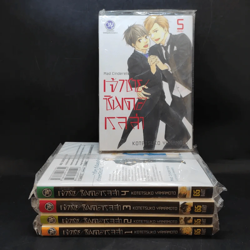 การ์ตูนวาย เจ้าชายซินเดอเรลล่า 5 เล่มจบ รูปที่ 1