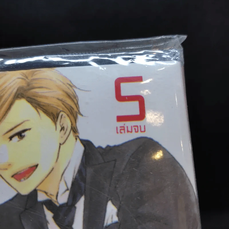 การ์ตูนวาย เจ้าชายซินเดอเรลล่า 5 เล่มจบ รูปที่ 10