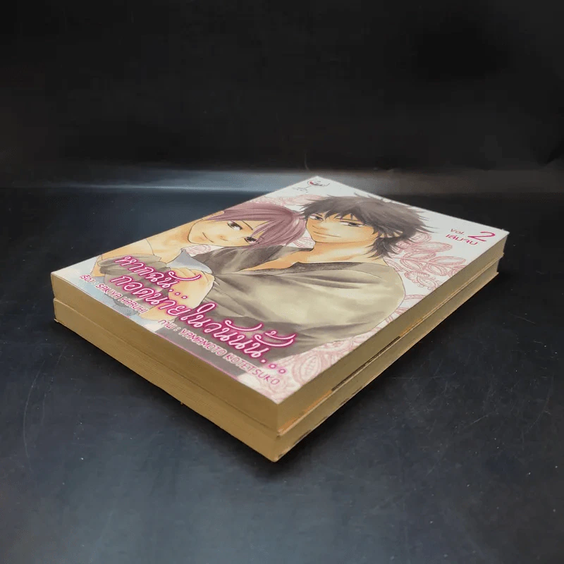 การ์ตูนวาย หากฉันกอดนายในวันนั้น 2 เล่มจบ รูปที่ 6