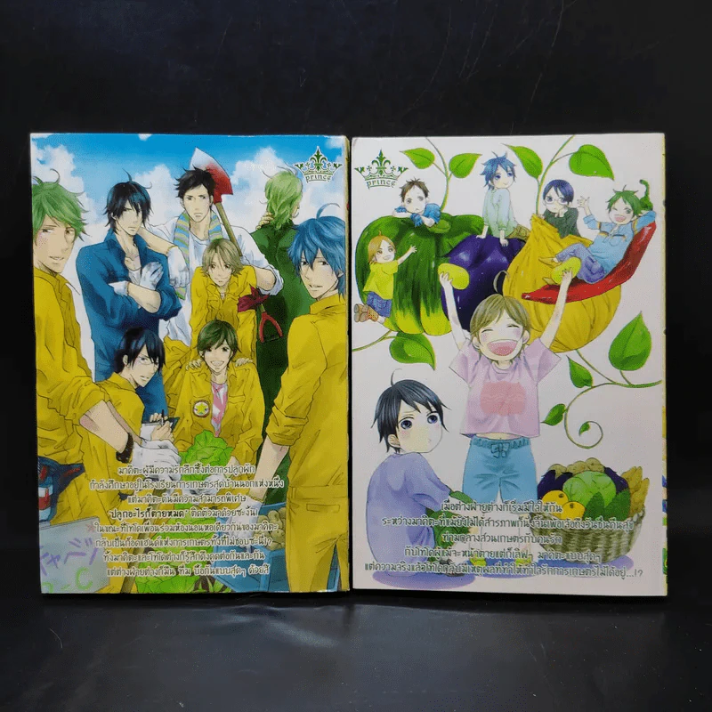 การ์ตูนวาย รักน้องต้องปลูกผัก 2 เล่มจบ รูปที่ 2