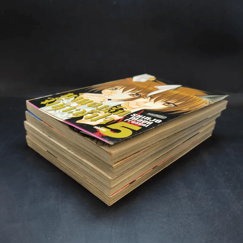 ทำนองรักจังหวะหัวใจ 5 เล่มจบ - Shinjo Mayu รูปที่ 8