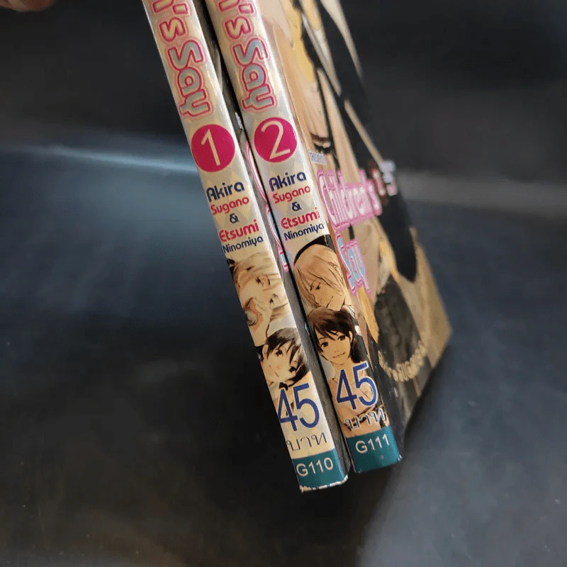 การ์ตูนวาย Children's Say 2 เล่มจบ รูปที่ 12