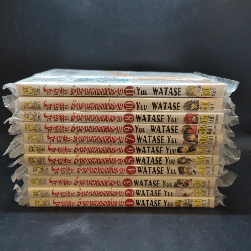 อาราตะ ตำนานเทพแห่งดาบ เล่ม 1-11 รูปที่ 2