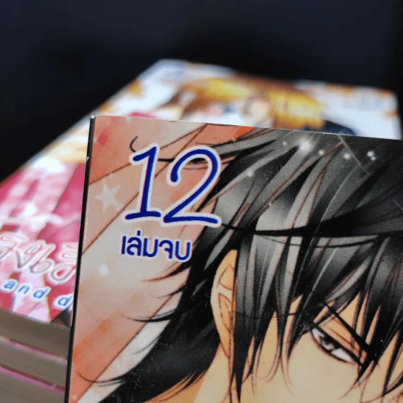 การ์ตูนวาย โรงเรียนรักไม่พักใจ 12 เล่มจบ รูปที่ 7
