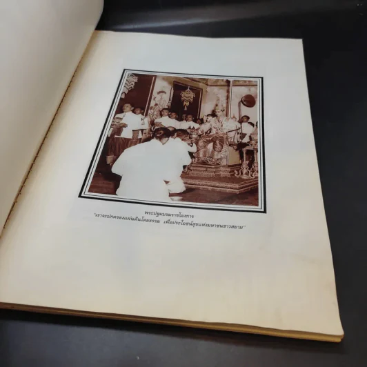 เย็นศิระเพราะพระบริบาล นายทองต่อ กล้วยไม้ ณ อยุธยา รูปที่ 8