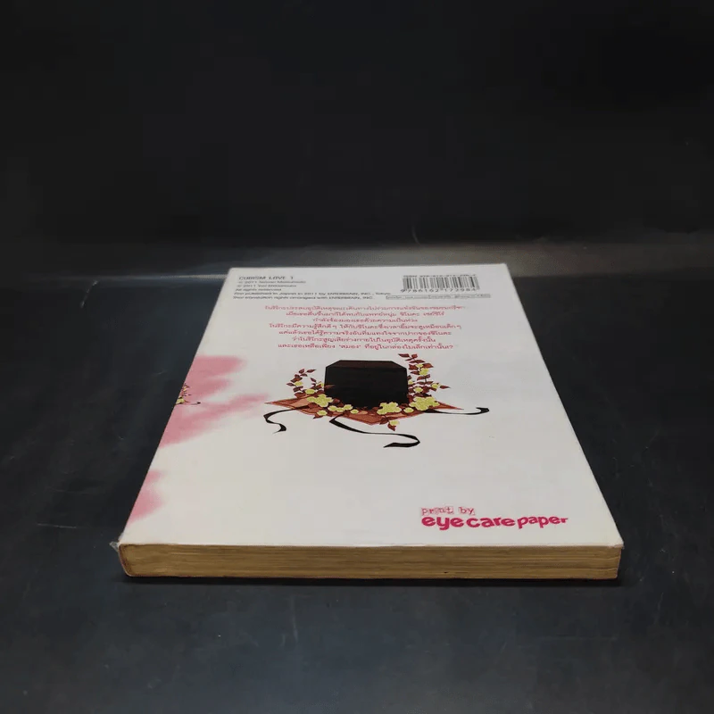 ลูกบาศก์รัก เล่ม 1 รูปที่ 4