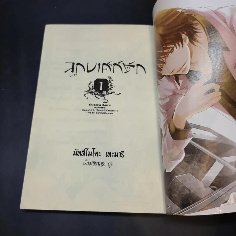 ลูกบาศก์รัก เล่ม 1 รูปที่ 9