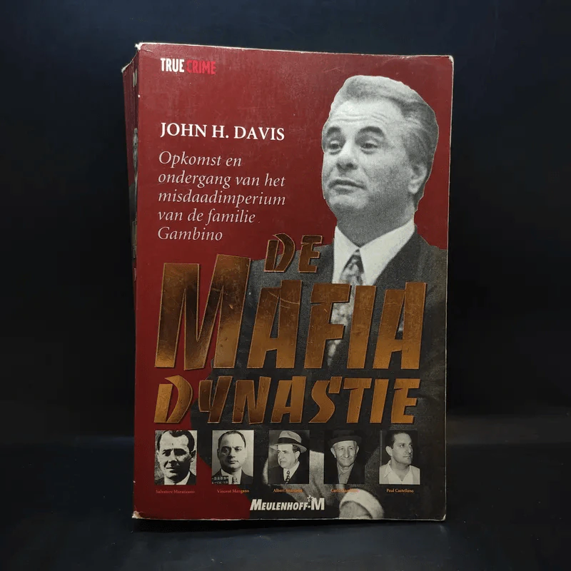 De Mafia Dynastie - John H.Davis รูปที่ 1