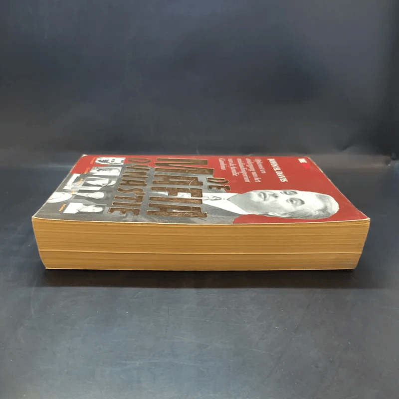 De Mafia Dynastie - John H.Davis รูปที่ 5