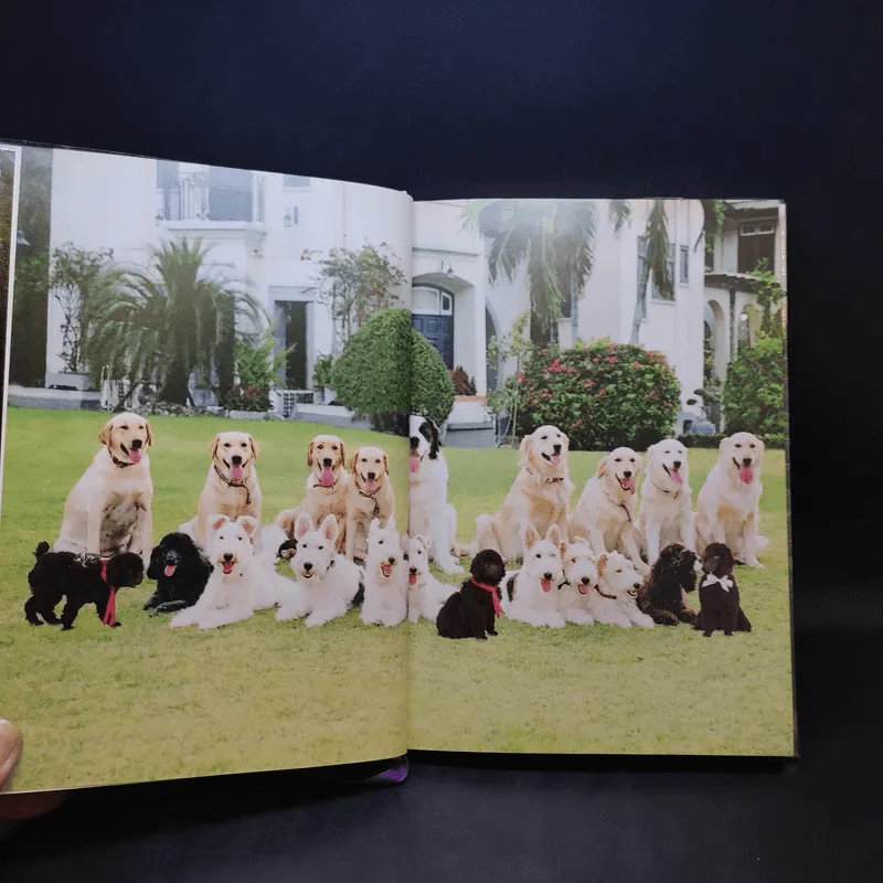 สัตว์เลี้ยงวังสระปทุม Diary 2549/2006 - สิรินธร รูปที่ 10