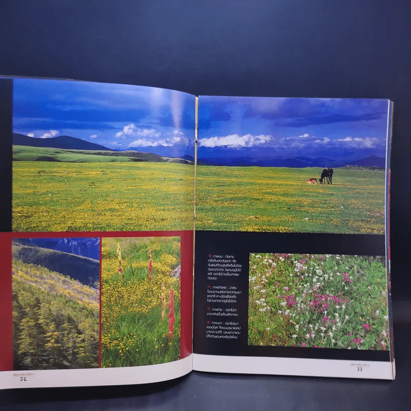 เลียบหิมาลัย จากแชงกรี-ลา สู่่หลังคาโลก - ดวงดาว สุวรรณรังษี รูปที่ 13
