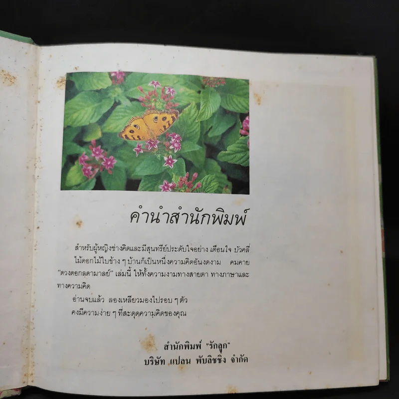 ดวงดอกลดามาลย์ - เตือนใจ บัวคลี่ รูปที่ 8