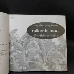 เหงือกปลาหมอ - อ.ยุวดี จอมพิทักษ์ รูปที่ 9