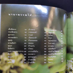 ยามเมื่อดอกไม้บาน - ชัชฎา วงศ์ทองสงวน รูปที่ 11