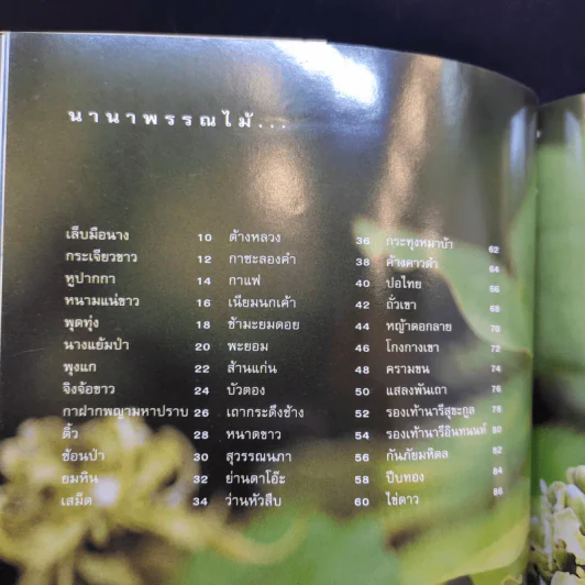 ยามเมื่อดอกไม้บาน - ชัชฎา วงศ์ทองสงวน รูปที่ 11