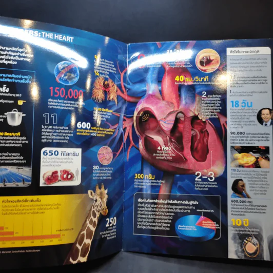 World of Numbers Science Illustrated รูปที่ 8