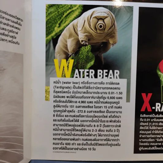World of Science A to Z Science Illustrated รูปที่ 11