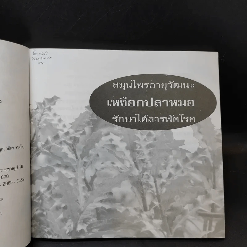เหงือกปลาหมอ - อ.ยุวดี จอมพิทักษ์ รูปที่ 9