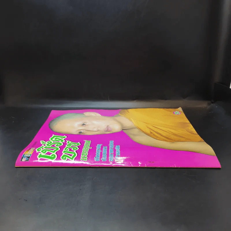 อัลบั้มชีวิตดารา ฉบับพิเศษ เบิร์ดบวชแทนคุณแม่ รูปที่ 2